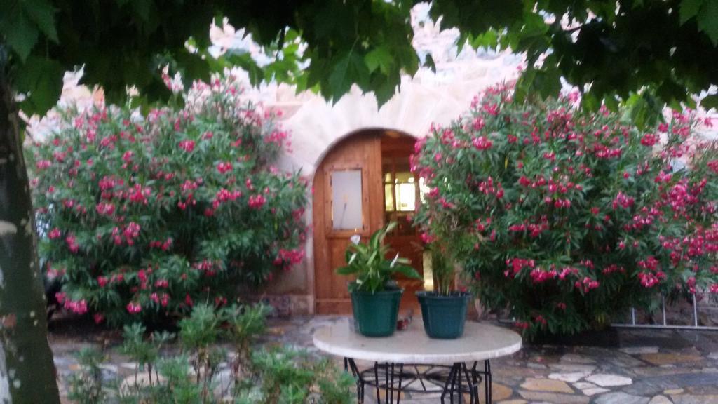 Oronoz-Mugaire Kuko Hotel - Adults Only מראה חיצוני תמונה